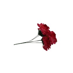 ROSAL ABIERTO FUCSIA X5