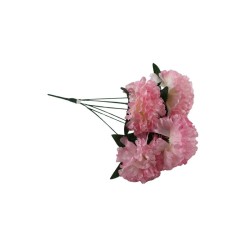 CLAVEL ROSA X6