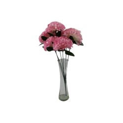 CLAVEL ROSA X6