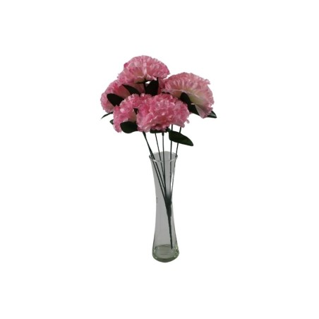 CLAVEL ROSA X6