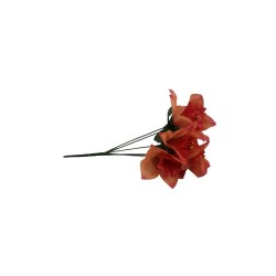 NARCISOS CORAL X6
