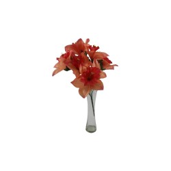 NARCISOS CORAL X6