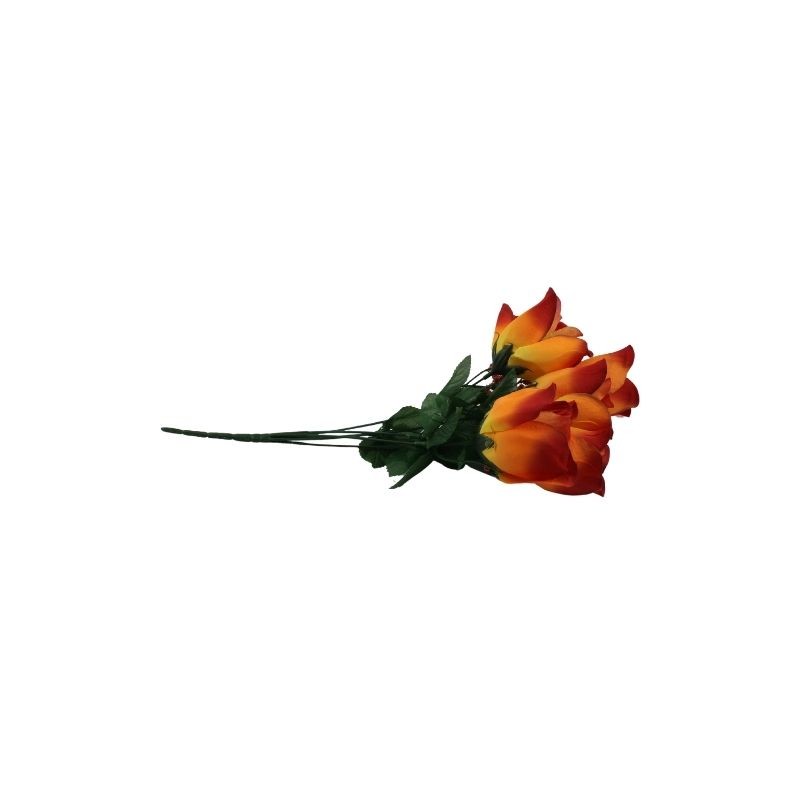 ROSAL BOTÓN NARANJA X6