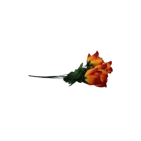 ROSAL BOTÓN NARANJA X6