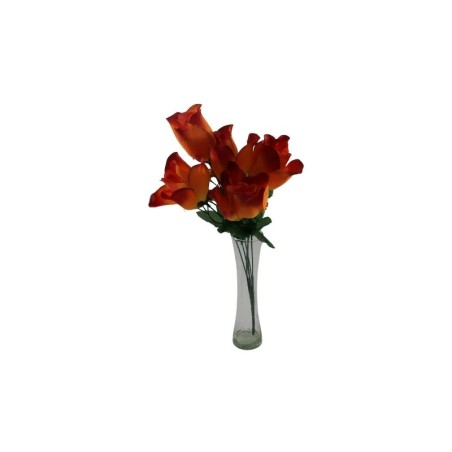 ROSAL BOTÓN NARANJA X6