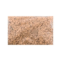 GRAVA CORAL
