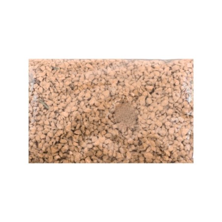 GRAVA CORAL