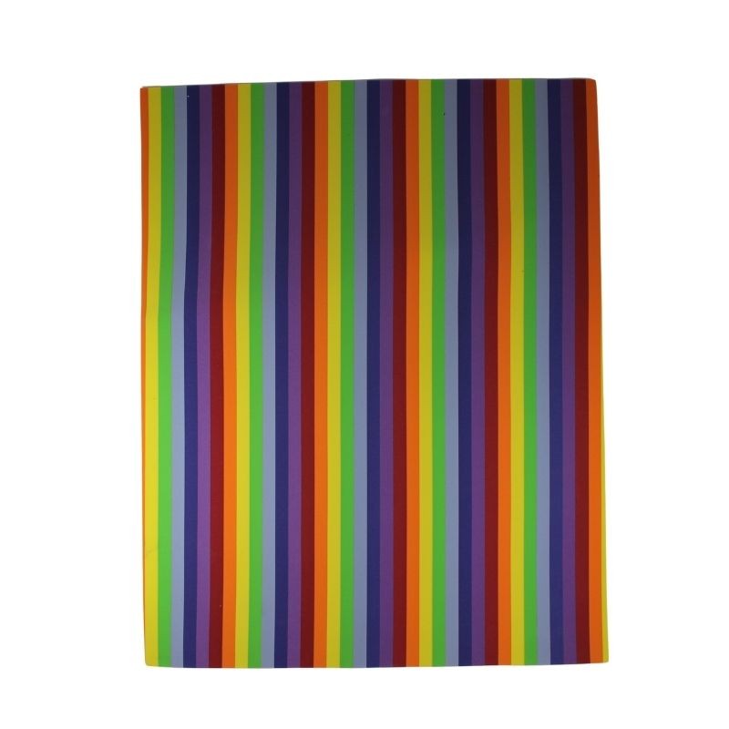 FOMI LISO MULTICOLOR