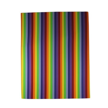 FOMI LISO MULTICOLOR