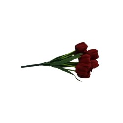 TULIPANES ROJO X9