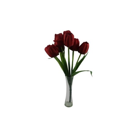 TULIPANES ROJO X9