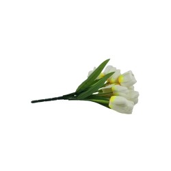 TULIPANES BEIGE X9