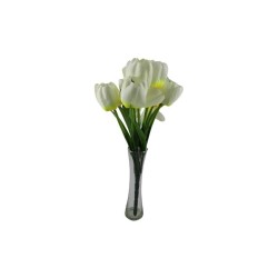 TULIPANES BEIGE X9