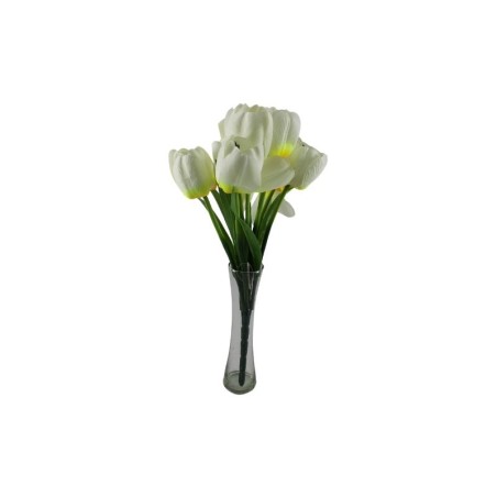 TULIPANES BEIGE X9
