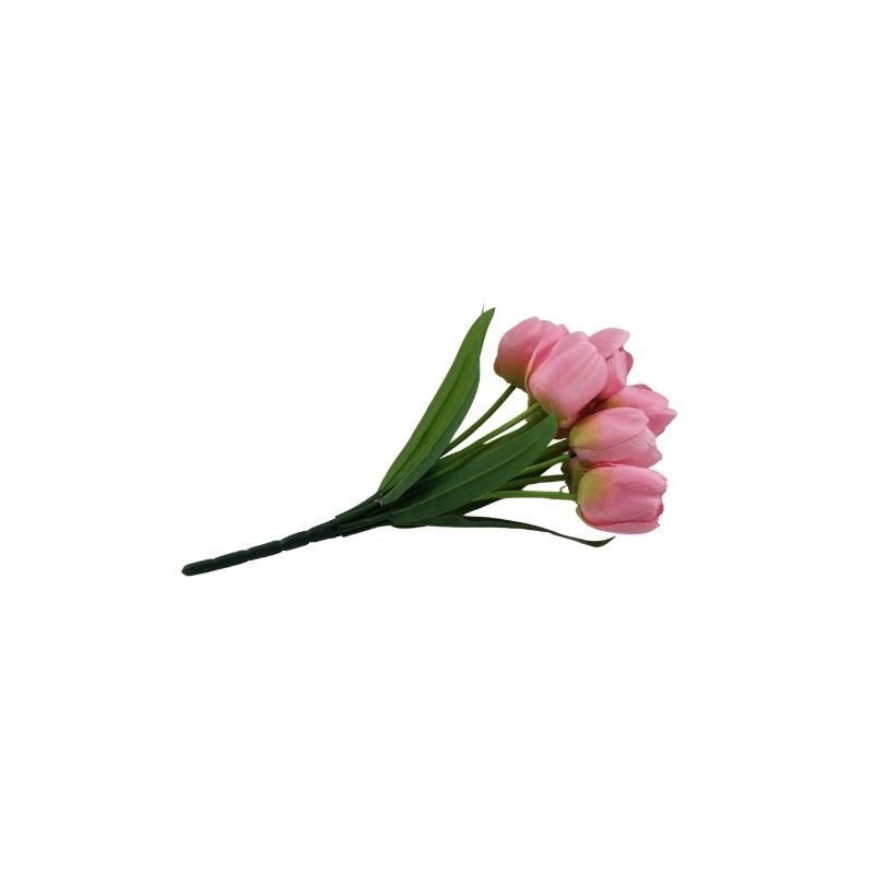 TULIPANES ROSA X9
