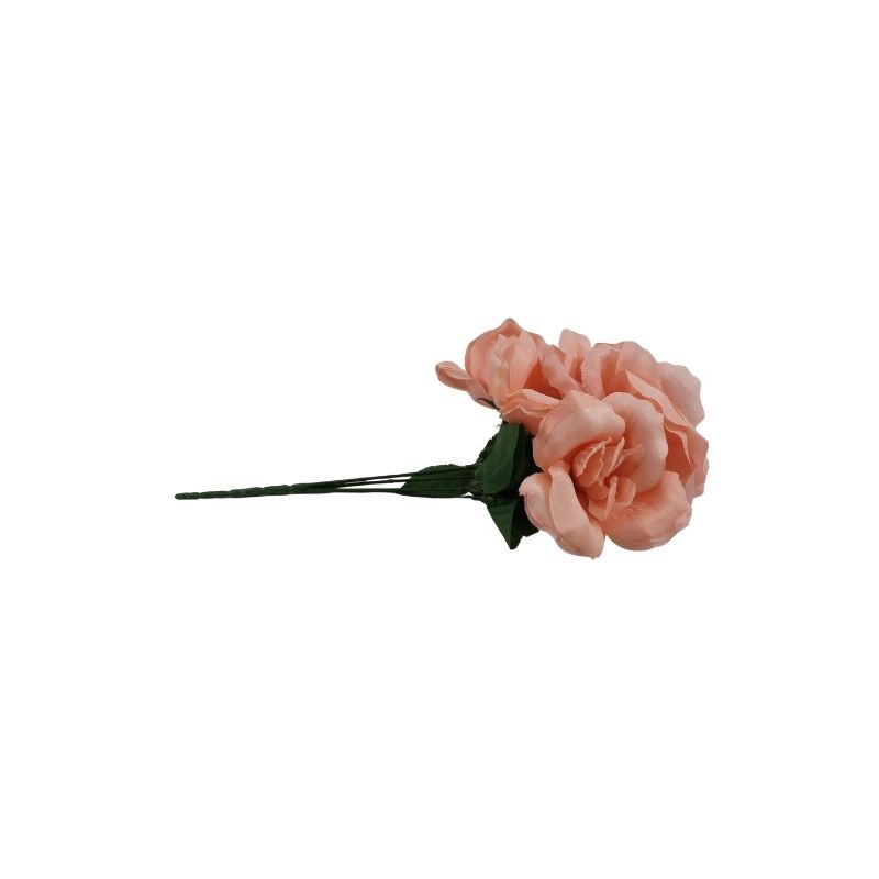 ROSAL ABIERTO BLUSH X5