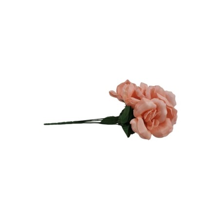 ROSAL ABIERTO BLUSH X5
