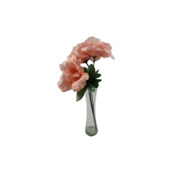 ROSAL ABIERTO BLUSH X5