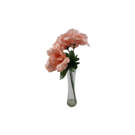 ROSAL ABIERTO BLUSH X5