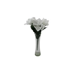 ROSAL MINI BLANCO X7