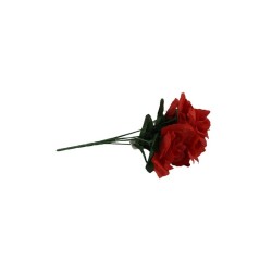 ROSAL MINI ROJO X7