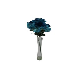ROSAL ABIERTO AZUL DOS TONOS X5