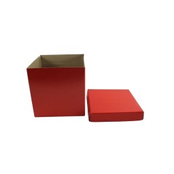CAJA CUBO LISA COLOR SURTIDO