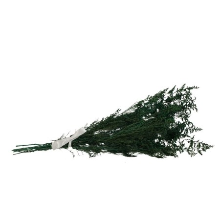 NATURALEZA MUERTA VERDE OSCURO