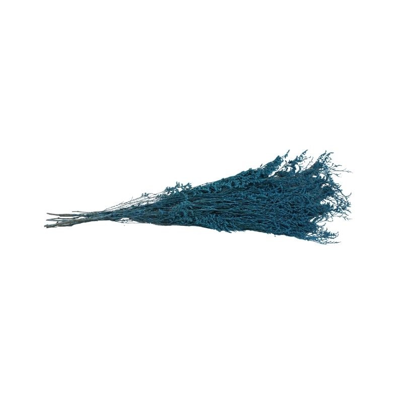 NATURALEZA CASPIA AZUL