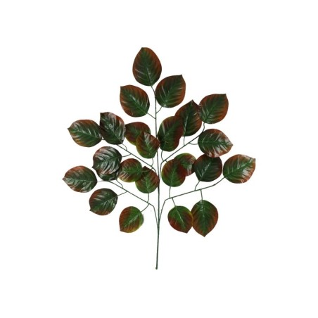 HOJAS VERDES