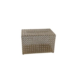 BUZÓN PARA DINERO DORADO
