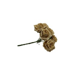 ROSAL DE FOMI RAMO CHAMPAGNE