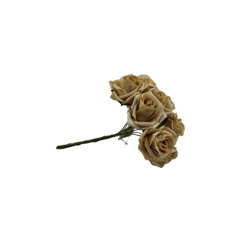 ROSAL DE FOMI RAMO CHAMPAGNE