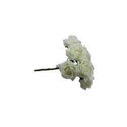 ROSAL DE FOMI RAMO CREMA