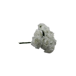 ROSAL DE FOMI RAMO BLANCO