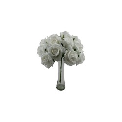 ROSAL DE FOMI RAMO BLANCO