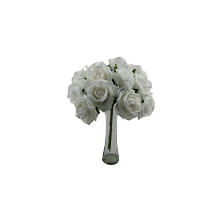 ROSAL DE FOMI RAMO BLANCO