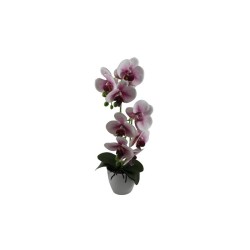 ORQUÍDEA CON FLORERO