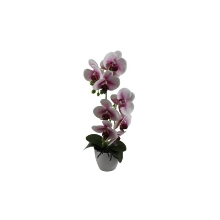 ORQUÍDEA CON FLORERO