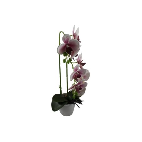 ORQUÍDEA CON FLORERO