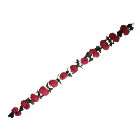 GUIA DE CRISANTEMOS ROSA MEXICANO