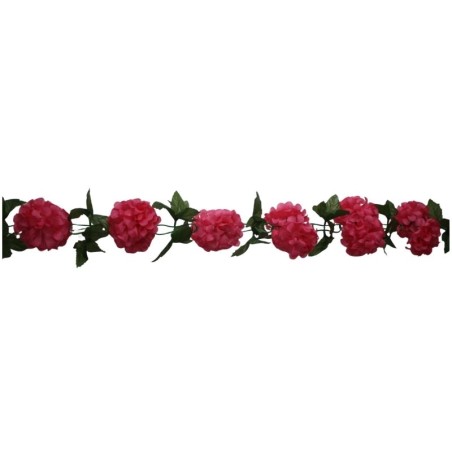 GUIA DE CRISANTEMOS ROSA MEXICANO