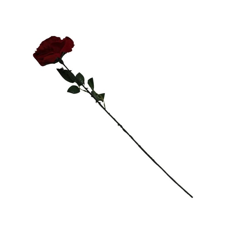 ROSA ROJA TERCIOPELO TALLO LARGO X1