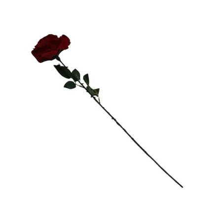 ROSA ROJA TERCIOPELO TALLO LARGO X1