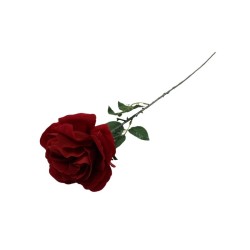 ROSA ROJA TERCIOPELO TALLO LARGO X1