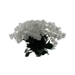 FLOR NUBE BLANCO X14