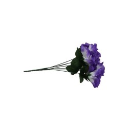 ROSAL ABIERTO MORADO X7