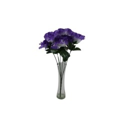 ROSAL ABIERTO MORADO X7