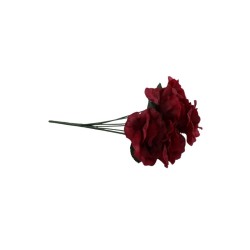 ROSAL ABIERTO VINO X7
