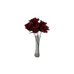 ROSAL ABIERTO VINO X7